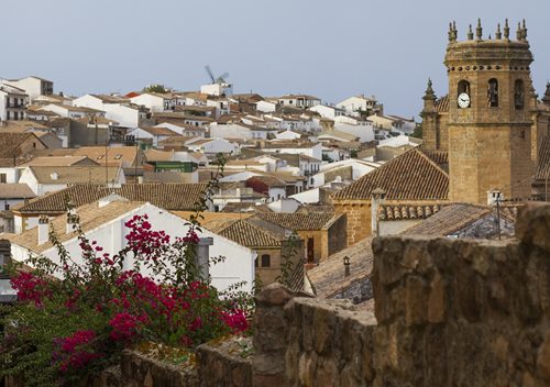 reservar online tours guiados Baños de la Encina